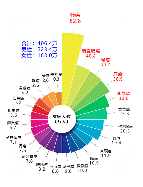 banner图