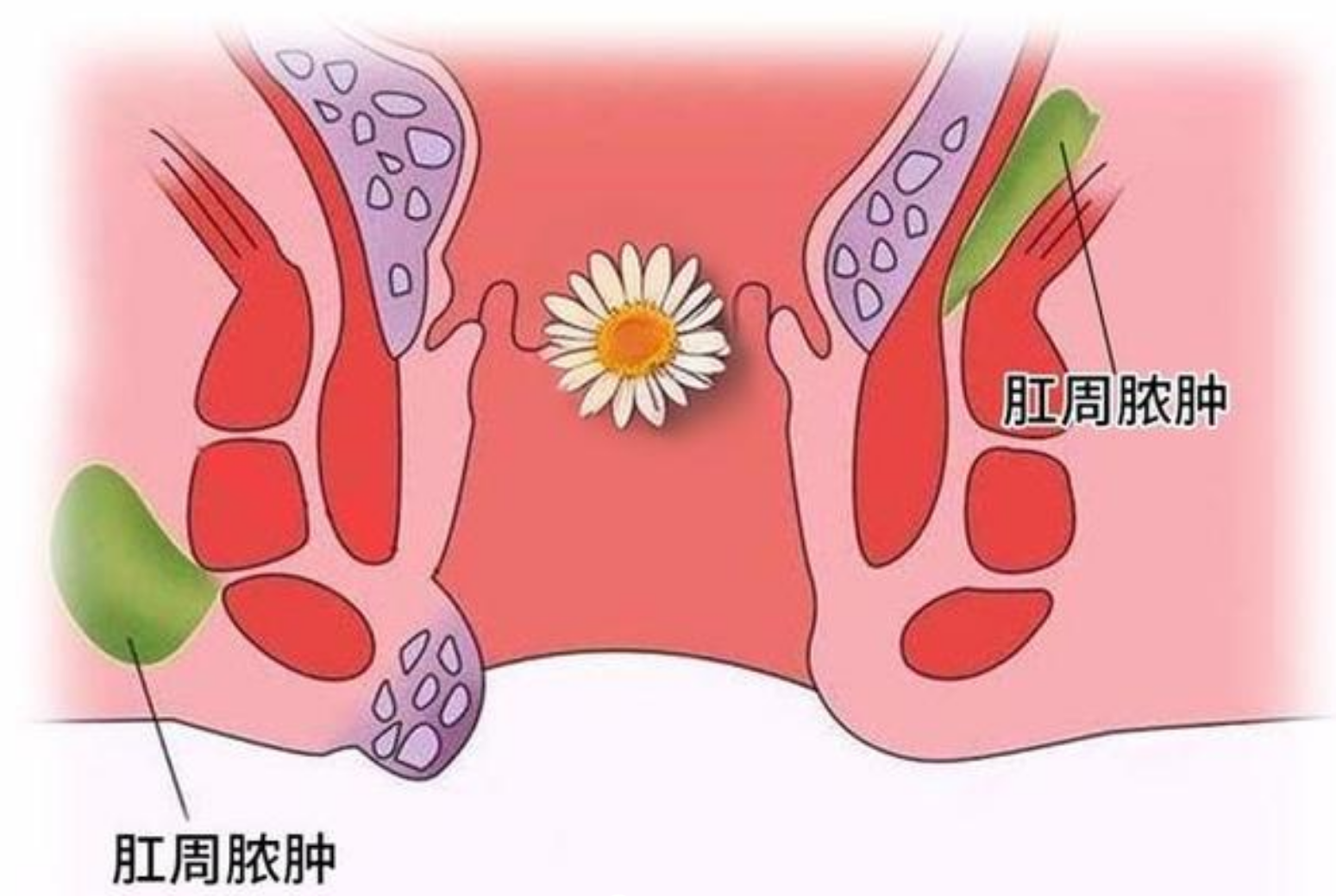 医院动态
